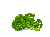 Produkt, mit nur f&uuml;r H&auml;ndler sichtbaren...